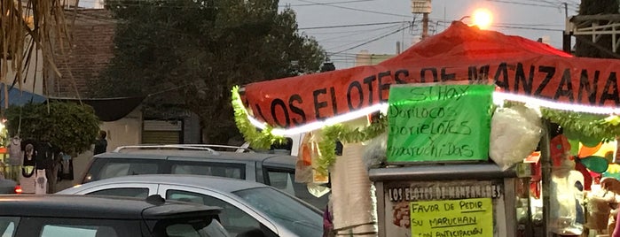 Elotes de Manzanares is one of Leon Mexico.