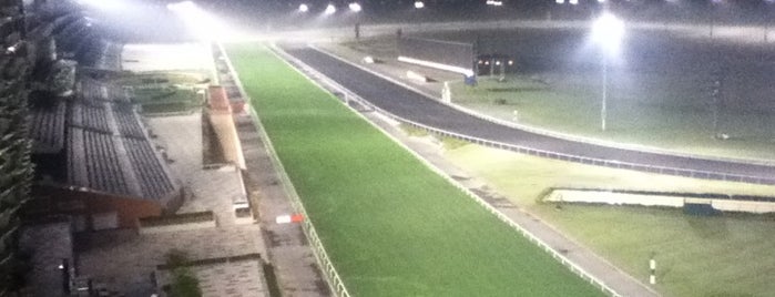 Meydan Racecourse is one of Dubai.
