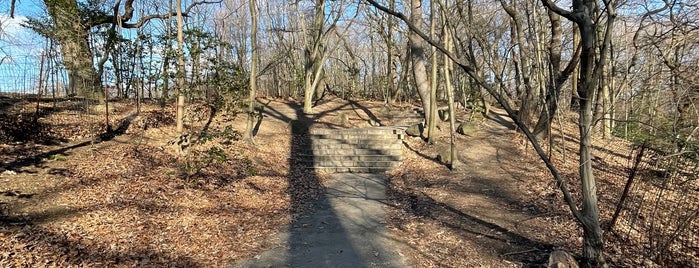 The Ravine is one of Prospect Park.