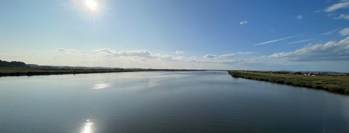 水郷大橋 is one of 日本百名橋.