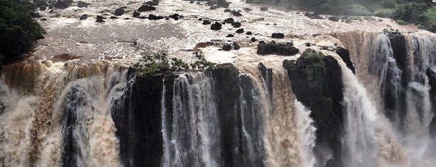 Iguazú Jungle - Excursiones Náuticas is one of Litoral (AR).