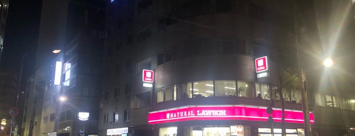 ナチュラルローソン 新橋六丁目店 is one of ローソン.