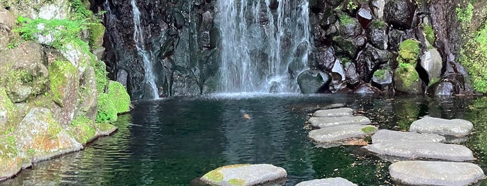 天成園 is one of Hot spring.