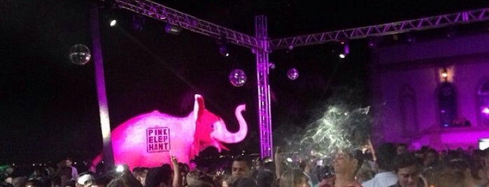 Pink Elephant is one of Vida Noturna | Boites.