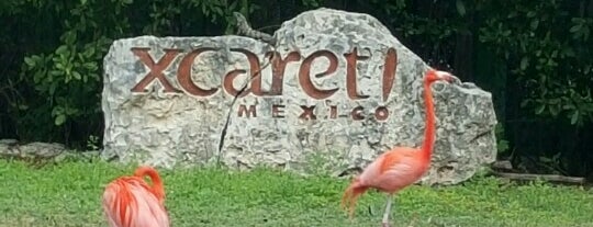 Xcaret Park is one of Joséさんのお気に入りスポット.