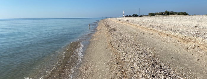 Тендрівська коса is one of Ukraine nature.