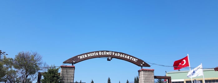 Cennet Bahçesi Kabristanlığı is one of FATOŞ : понравившиеся места.