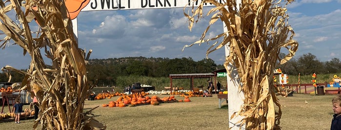 Sweet Berry Farm is one of Austin Area: Things To Do.