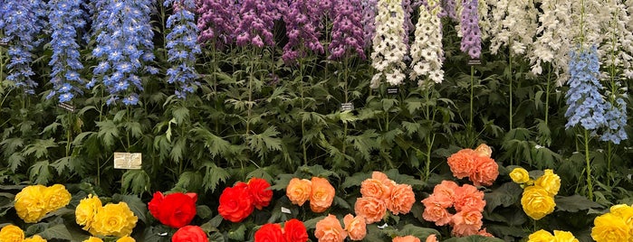 RHS Chelsea Flower Show is one of London to-do list.
