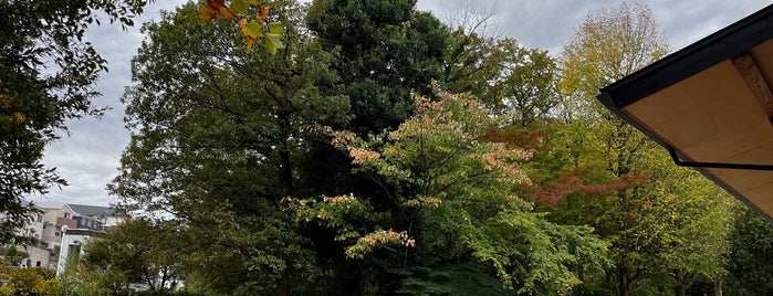 赤塚植物園 is one of 公園.