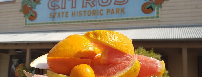 California Citrus State Historic Park is one of Golden Poppy Annual Pass.
