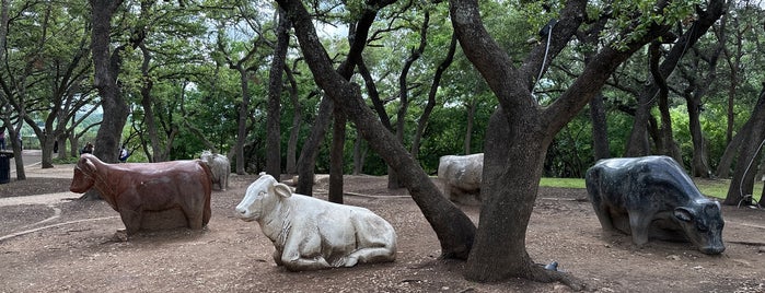 Arboretum Cows is one of Austin.