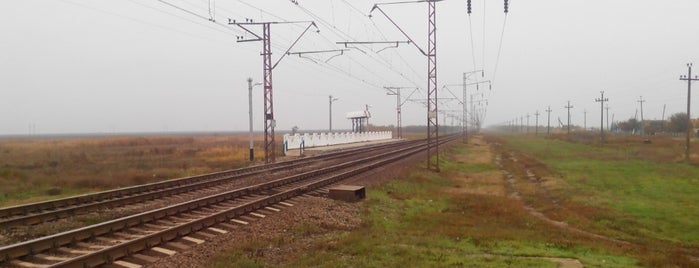 ж/д платформа Чонгар (1334км) is one of สถานที่ที่บันทึกไว้ของ Dmitry.