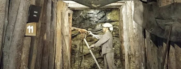 Idrija's mercury mine Antonijev rov (shaft) is one of Marina'nın Beğendiği Mekanlar.