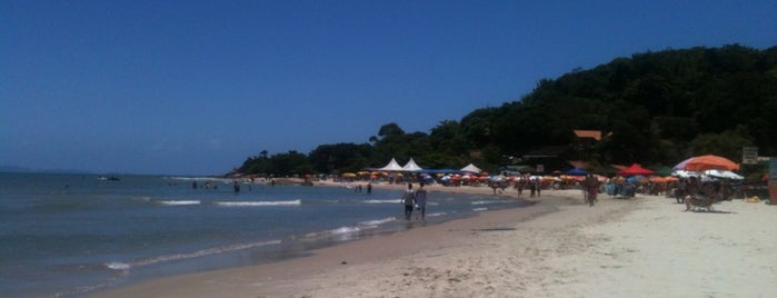 Praia do Forte is one of Floripa Golden Isle.