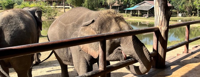 Elephants World is one of Asia Route 2019.