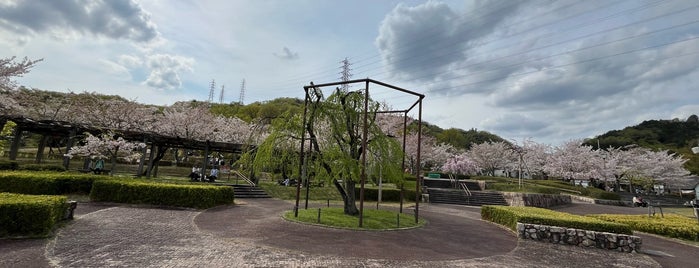 摂津峡公園 is one of 大阪みどりの百選.