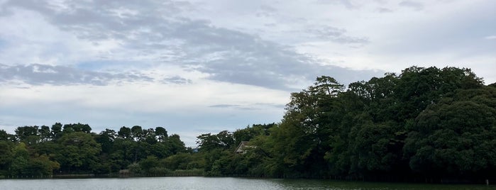 Senzoku Pond is one of Tempat yang Disukai ぎゅ↪︎ん 🐾🦁.