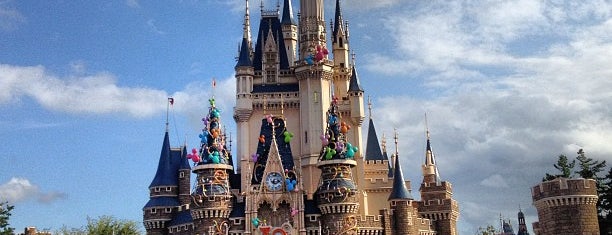 Tokyo Disneyland is one of ToDo Japan.