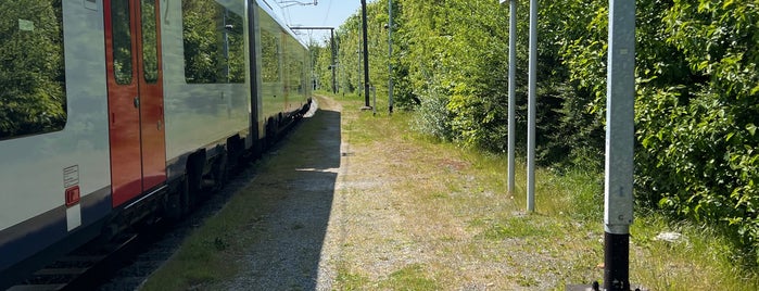 Station Zeebrugge-Dorp is one of Bijna alle treinstations in Vlaanderen.