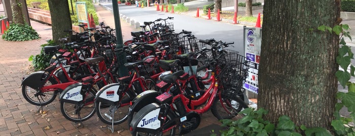 M2-02.Amerika-bashi Park / Tokyo Bike Sharing is one of 東京の西側のバイクシェアのサイクルポート🚲.