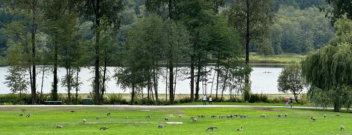 Deer Lake Park is one of L.さんのお気に入りスポット.
