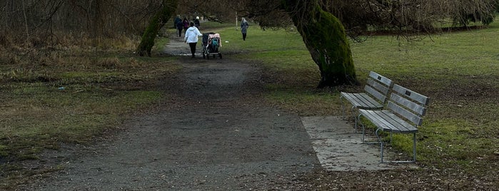 Trout Lake is one of Vancouver.