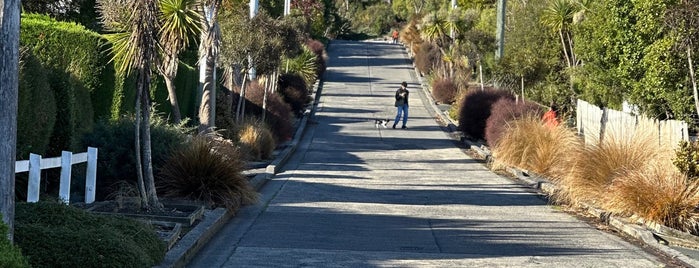Baldwin Street (The World's Steepest Street) is one of South island.