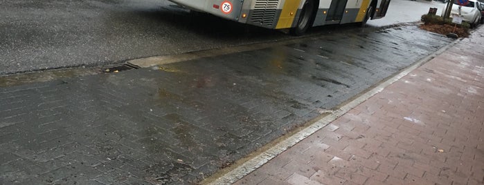 Bus 130 Wilrijk - Kontich - Lier is one of buslijnen + haltes.