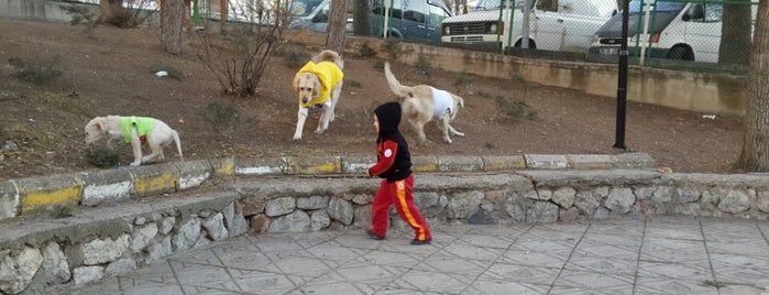 Necil Kazım Akses Parkı is one of Orte, die Omer gefallen.