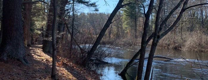 Bradley Palmer State Park is one of Hiking, Gardens North Shore and Merrimack Valley.