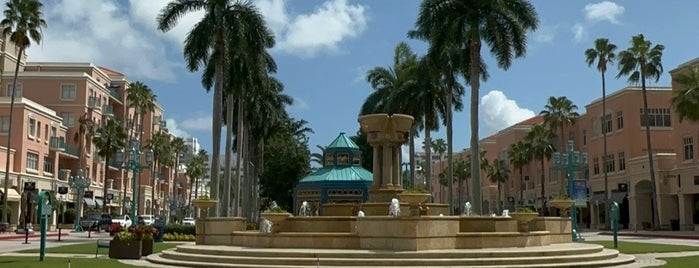 Boca Raton, FL is one of Tammyさんのお気に入りスポット.