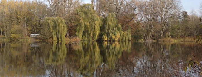 Großer Ricklinger Teich is one of Hannover.