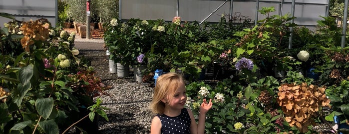 Urban Tree Farm Nursery is one of Russian River.