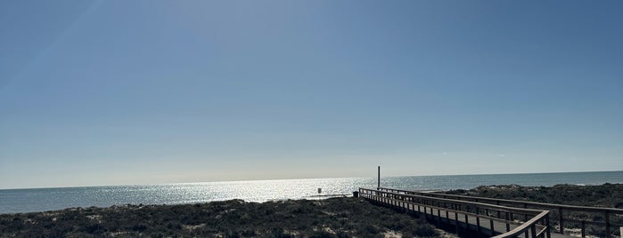 Estaminé is one of Restaurantes - Peixe e marisco.