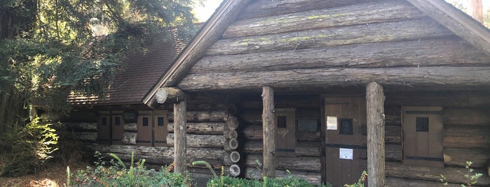 Pioneer Log Cabin is one of Locais curtidos por MANO.