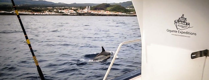 Angra do Heroísmo is one of Portugal - Cities.