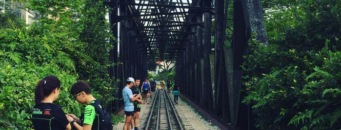 Bukit Timah Truss Bridge (Heritage Railway Bridge) is one of Intrepidity.