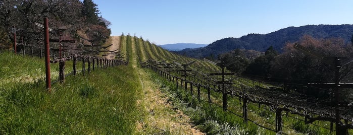 Cali vineyards to visit