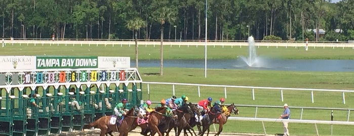 Tampa Bay Downs is one of florida.