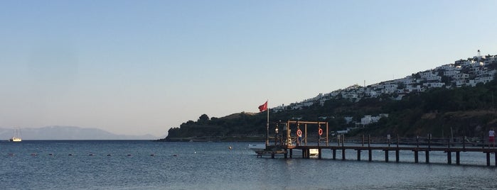 Bodrum Imperial Beach is one of สถานที่ที่ FATOŞ ถูกใจ.