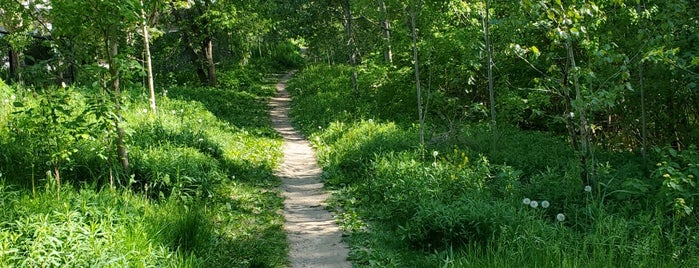 Joker's Hill is one of Parks & Trails.