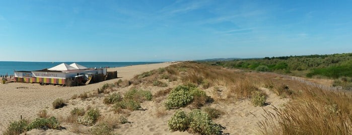 Plage de Valras is one of Been there.