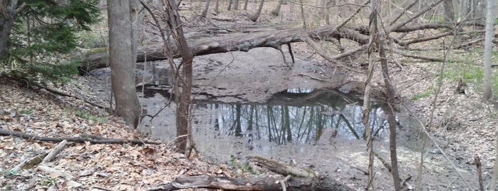 Ken-O-Sha Park is one of Grand Rapids Area Parks.