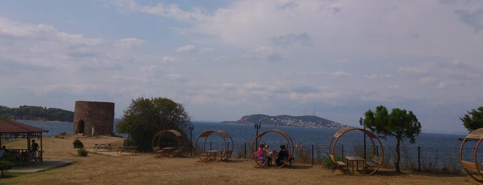 Değirmenburnu Piknik Alanı is one of Piknik Alanlari.