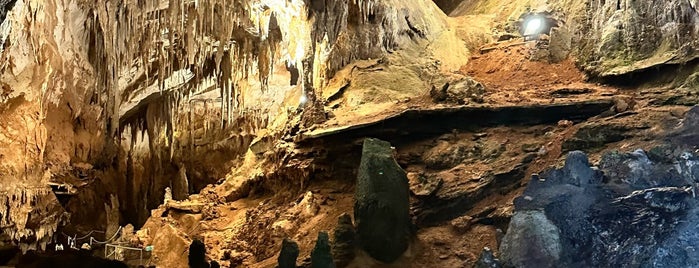 Grotta del Fico is one of Sardinia.