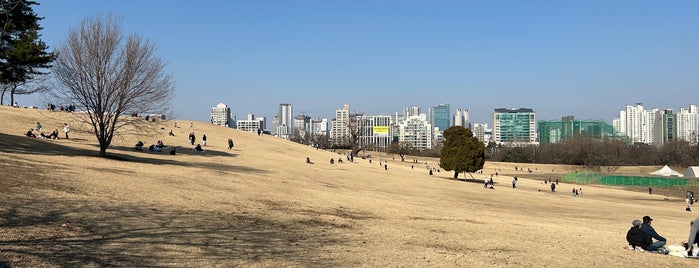 Mongchon Earthen Fortification is one of homo viator.