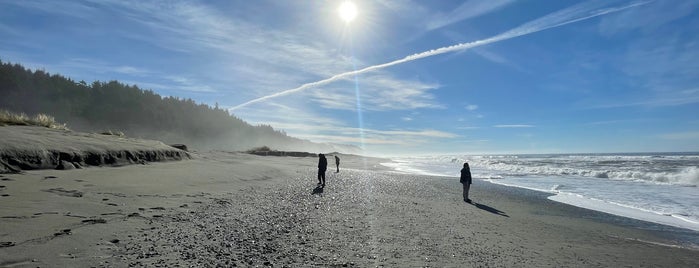 Gold bluffs beach is one of Lieux qui ont plu à Krzysztof.