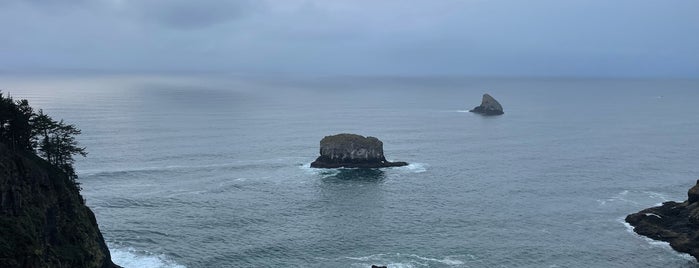 Cape Meares State Park is one of Al : понравившиеся места.