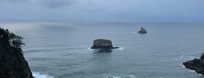 Cape Meares State Park is one of Posti che sono piaciuti a Al.